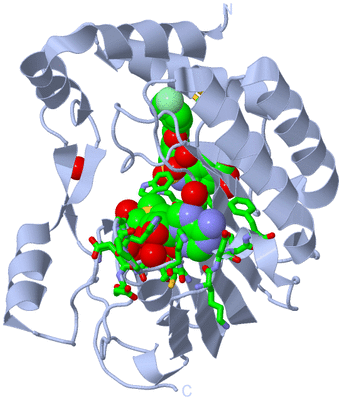 Image Biol. Unit 1 - sites