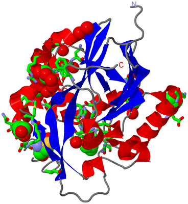 Image Asym./Biol. Unit - sites