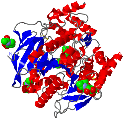 Image Asym./Biol. Unit