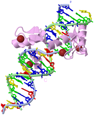 Image Biological Unit 1