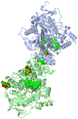 Image Asym./Biol. Unit - sites