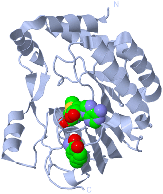 Image Biological Unit 1