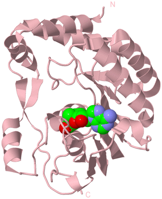 Image Biological Unit 2