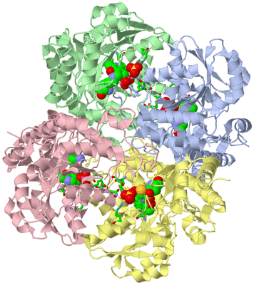 Image Biol. Unit 1 - sites