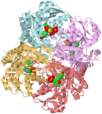 Image Biological Unit 2