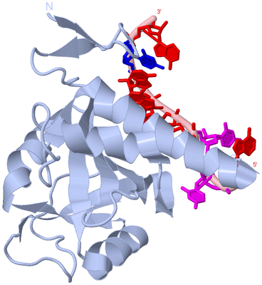 Image Biological Unit 1