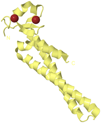 Image Biological Unit 3