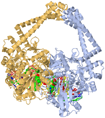 Image Biol. Unit 1 - sites