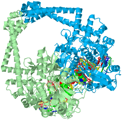 Image Biological Unit 2