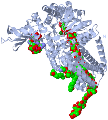 Image Biological Unit 1