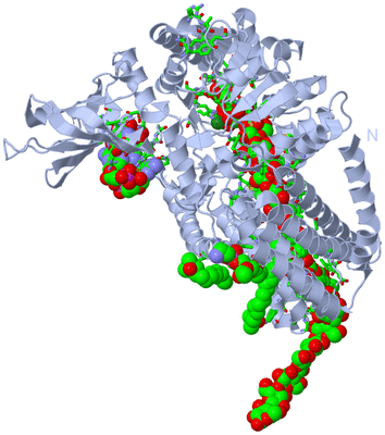 Image Biol. Unit 1 - sites