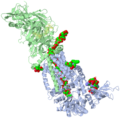 Image Asym./Biol. Unit