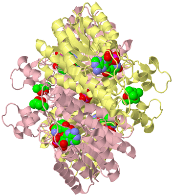 Image Biological Unit 2