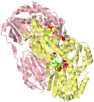 Image Biological Unit 2