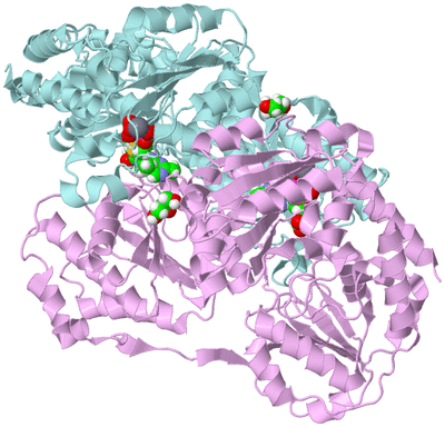 Image Biological Unit 3