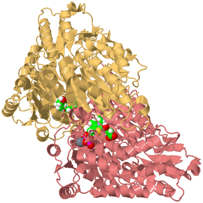 Image Biological Unit 4