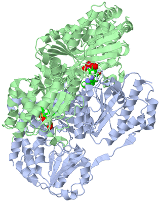 Image Biological Unit 1