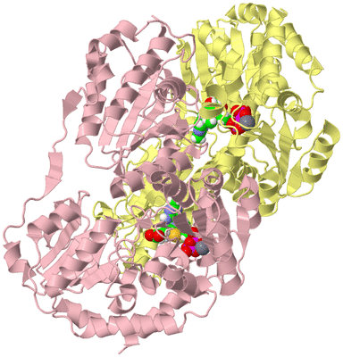 Image Biological Unit 2