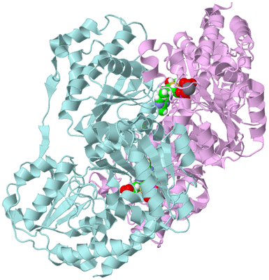 Image Biological Unit 3