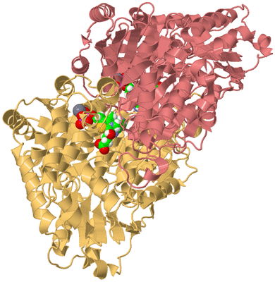 Image Biological Unit 4