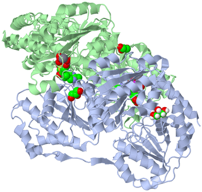 Image Biological Unit 1