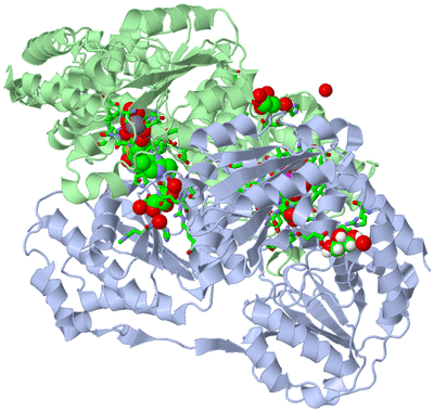 Image Biol. Unit 1 - sites