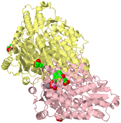 Image Biological Unit 2