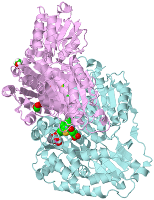 Image Biological Unit 3