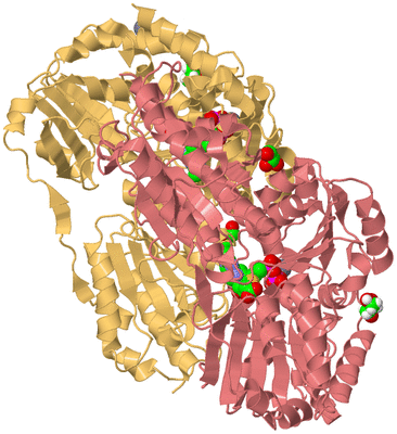 Image Biological Unit 4