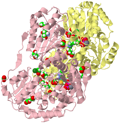 Image Biological Unit 2