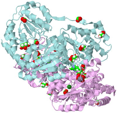 Image Biological Unit 3