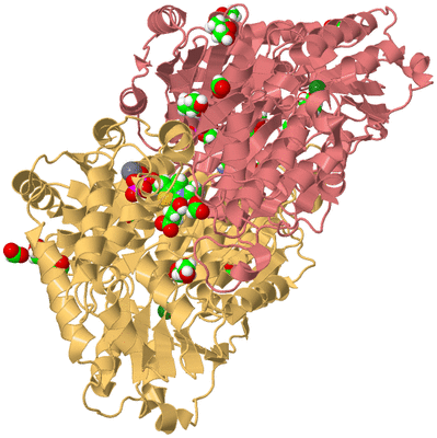 Image Biological Unit 4