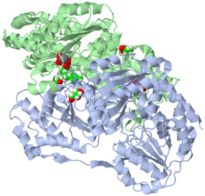 Image Biological Unit 1