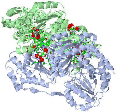 Image Biol. Unit 1 - sites