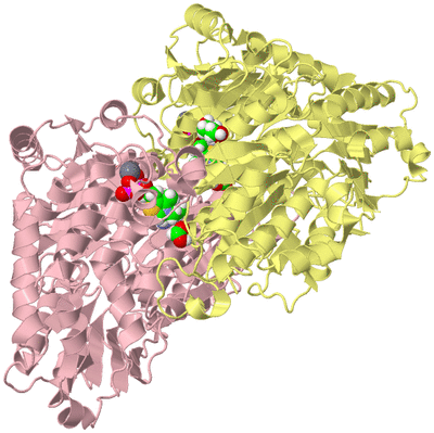 Image Biological Unit 2