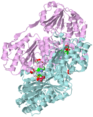 Image Biological Unit 3