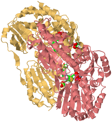 Image Biological Unit 4