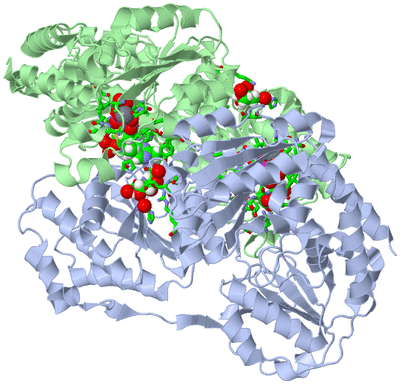 Image Biol. Unit 1 - sites