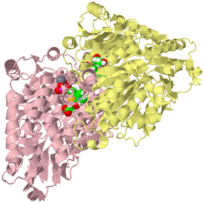 Image Biological Unit 2