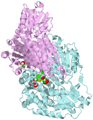 Image Biological Unit 3