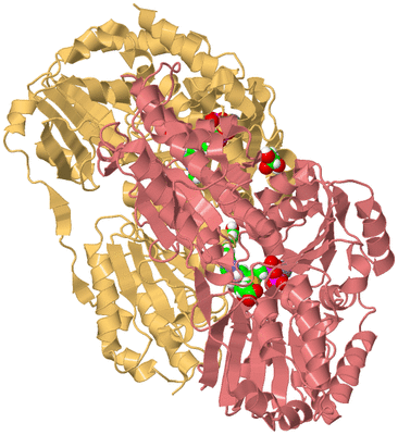 Image Biological Unit 4