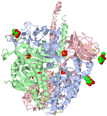 Image Biological Unit 1