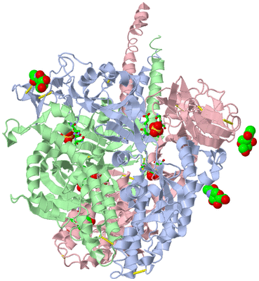 Image Biol. Unit 1 - sites