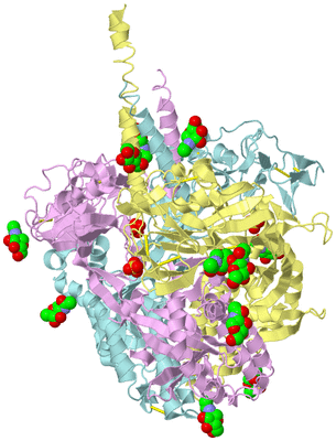 Image Biological Unit 2