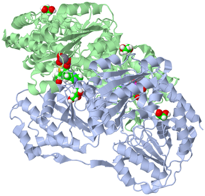 Image Biological Unit 1