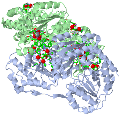 Image Biol. Unit 1 - sites