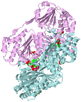 Image Biological Unit 3