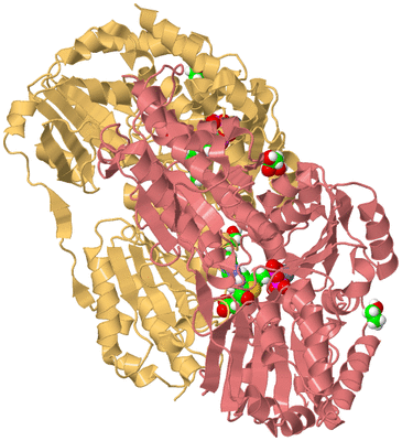 Image Biological Unit 4