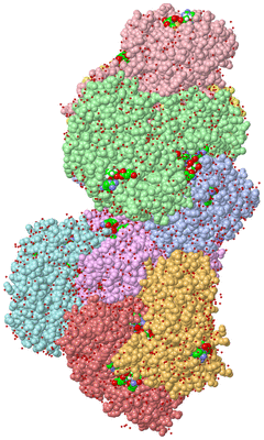 Image Asym. Unit - sites