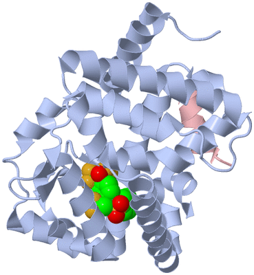 Image Biological Unit 1